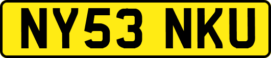 NY53NKU