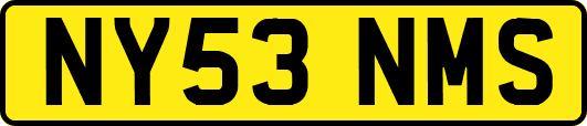NY53NMS