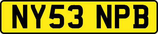 NY53NPB