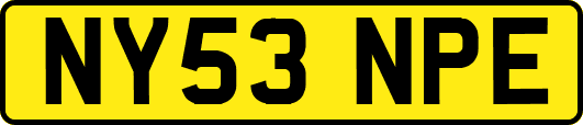 NY53NPE