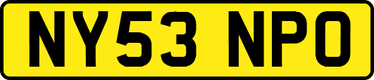 NY53NPO