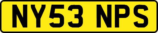NY53NPS