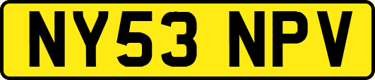 NY53NPV