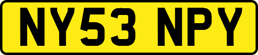 NY53NPY