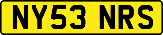 NY53NRS