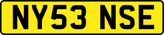 NY53NSE