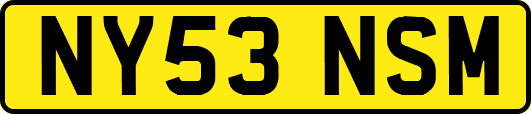 NY53NSM