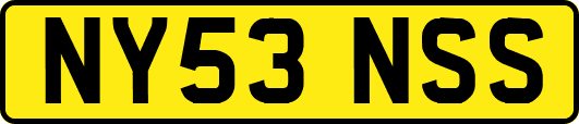 NY53NSS
