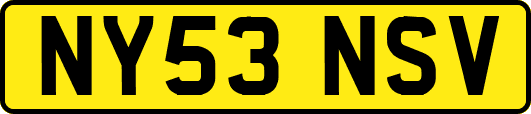 NY53NSV