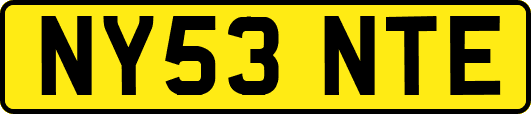 NY53NTE