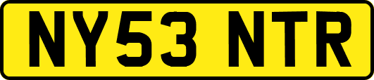 NY53NTR
