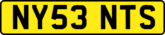 NY53NTS
