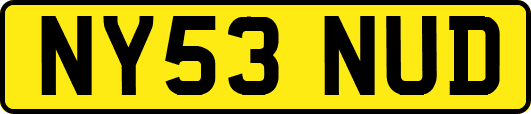 NY53NUD