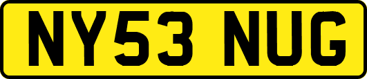 NY53NUG