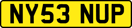 NY53NUP