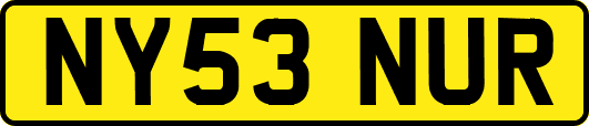 NY53NUR