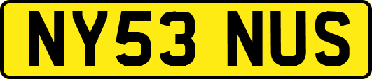 NY53NUS