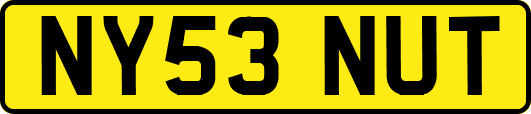 NY53NUT