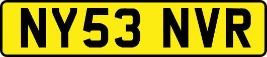 NY53NVR