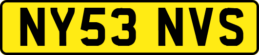 NY53NVS