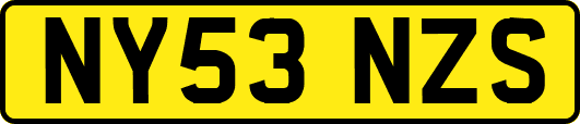 NY53NZS