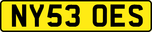 NY53OES