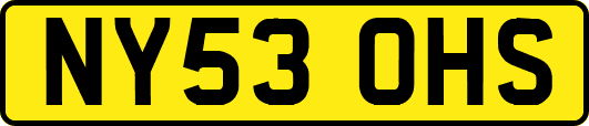 NY53OHS