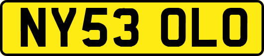NY53OLO