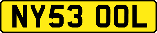 NY53OOL