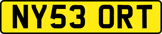NY53ORT