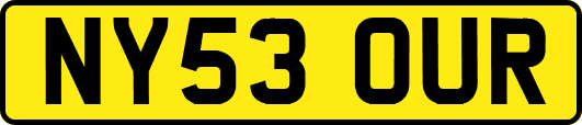 NY53OUR