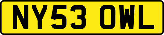 NY53OWL