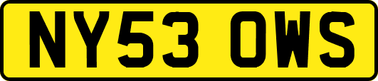 NY53OWS