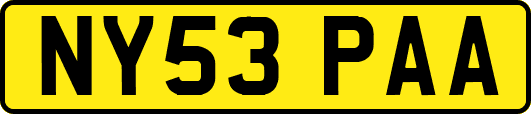NY53PAA