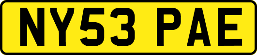 NY53PAE