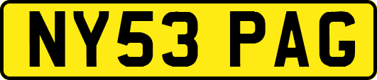 NY53PAG