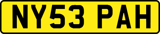 NY53PAH