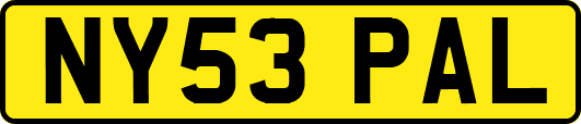 NY53PAL