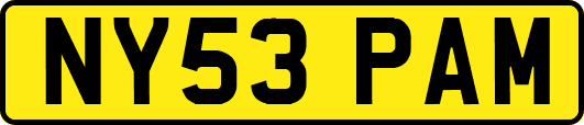 NY53PAM