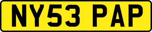 NY53PAP