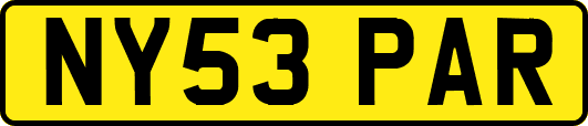 NY53PAR