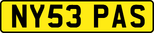 NY53PAS