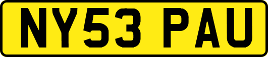 NY53PAU
