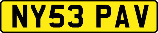 NY53PAV