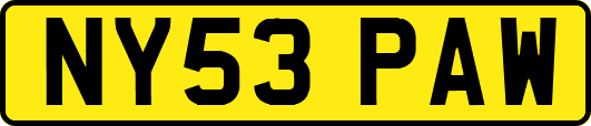NY53PAW