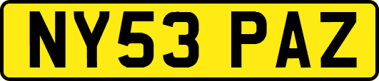 NY53PAZ
