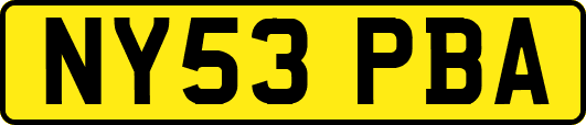 NY53PBA
