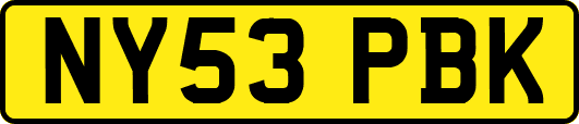 NY53PBK