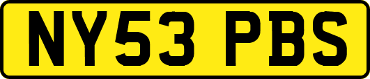 NY53PBS