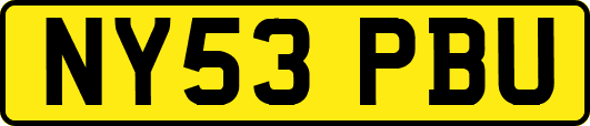 NY53PBU